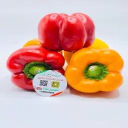 Red and Yellow Bell Pepper